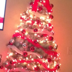 Meet your Posher, Yvelice